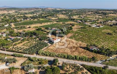 ÇANAKKALE BOZCAADA AMERİKAN ÇEŞME SATILIK ASFALT CEPHE BAĞ