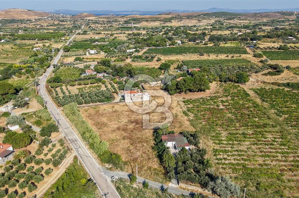 ÇANAKKALE BOZCAADA AMERİKAN ÇEŞME SATILIK ASFALT CEPHE BAĞ