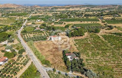 ÇANAKKALE BOZCAADA AMERİKAN ÇEŞME SATILIK ASFALT CEPHE BAĞ