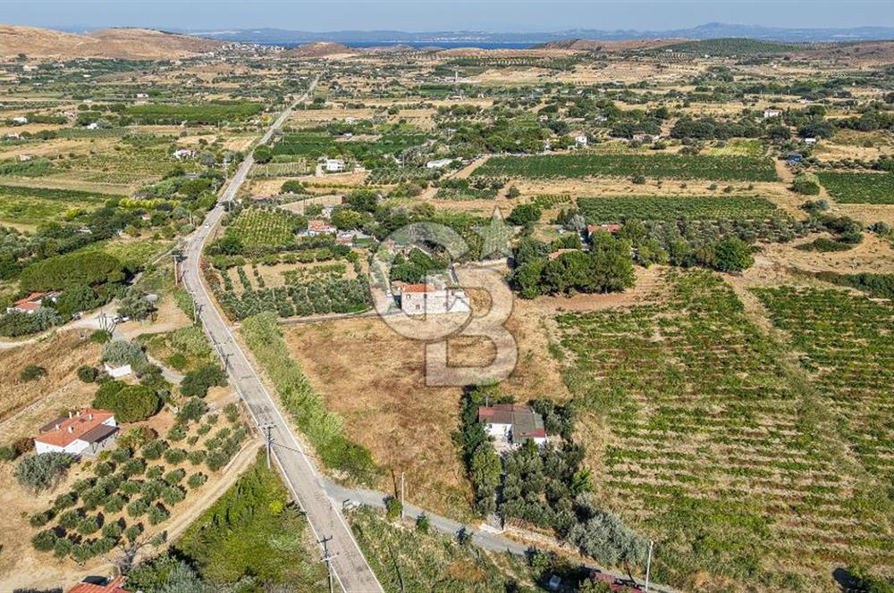 ÇANAKKALE BOZCAADA AMERİKAN ÇEŞME SATILIK ASFALT CEPHE BAĞ