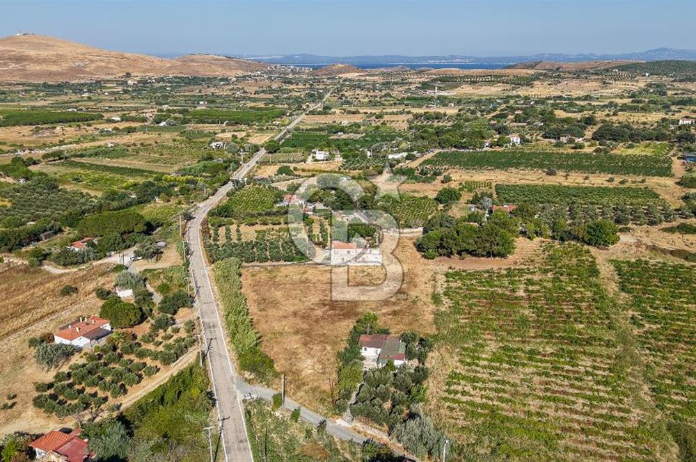ÇANAKKALE BOZCAADA AMERİKAN ÇEŞME SATILIK ASFALT CEPHE BAĞ
