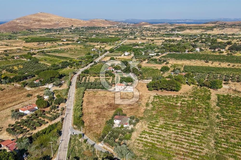 ÇANAKKALE BOZCAADA AMERİKAN ÇEŞME SATILIK ASFALT CEPHE BAĞ