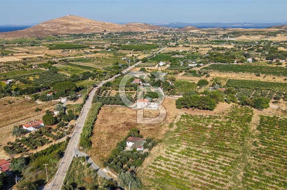 ÇANAKKALE BOZCAADA AMERİKAN ÇEŞME SATILIK ASFALT CEPHE BAĞ