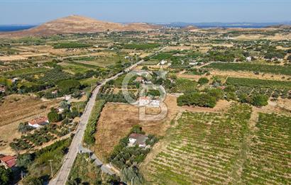 ÇANAKKALE BOZCAADA AMERİKAN ÇEŞME SATILIK ASFALT CEPHE BAĞ
