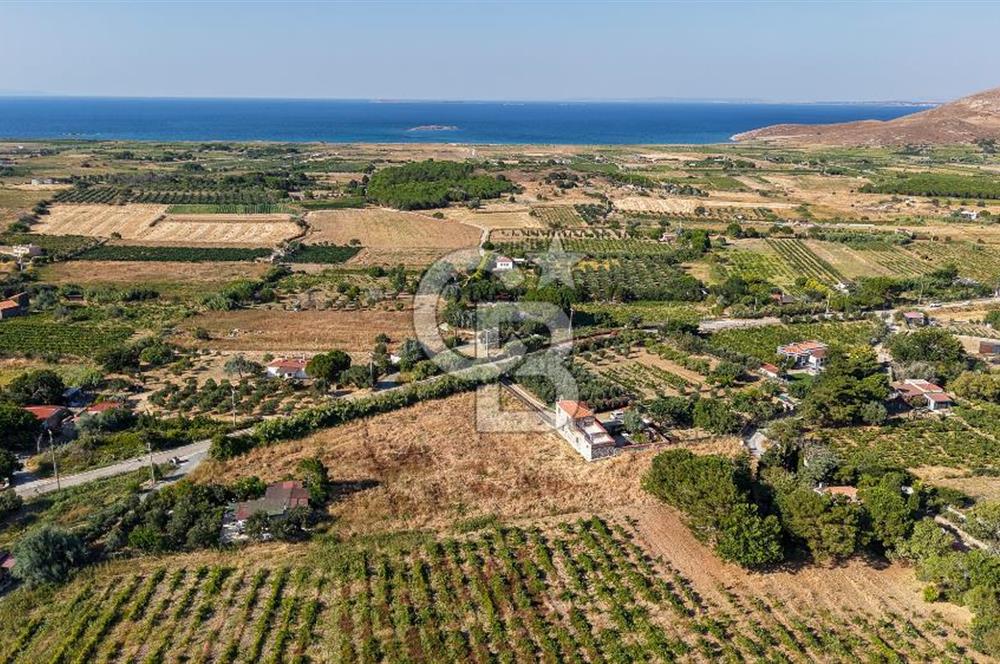ÇANAKKALE BOZCAADA AMERİKAN ÇEŞME SATILIK ASFALT CEPHE BAĞ