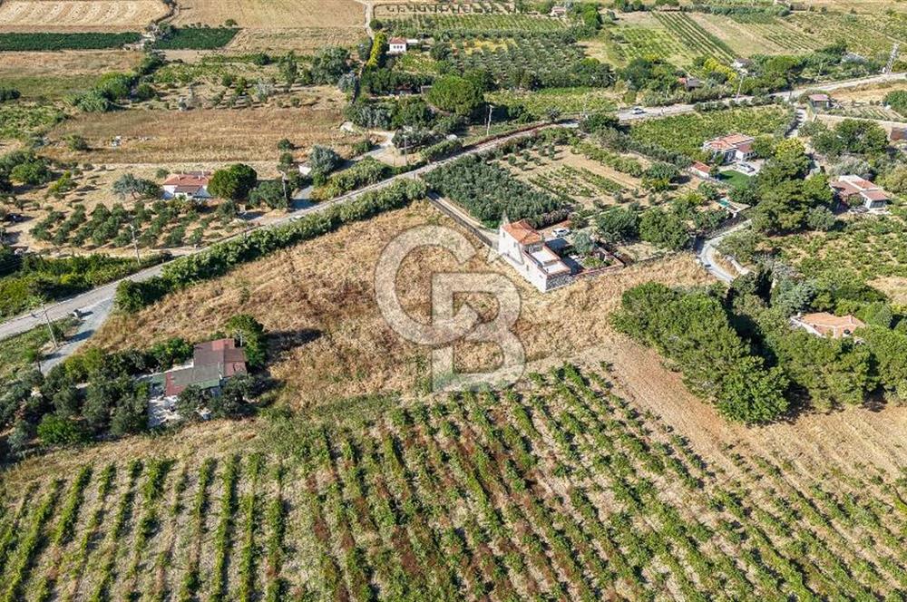 ÇANAKKALE BOZCAADA AMERİKAN ÇEŞME SATILIK ASFALT CEPHE BAĞ