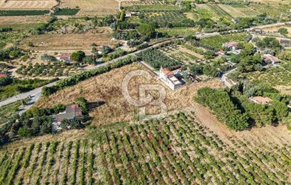 ÇANAKKALE BOZCAADA AMERİKAN ÇEŞME SATILIK ASFALT CEPHE BAĞ