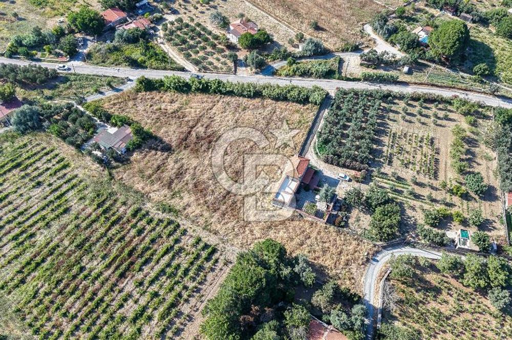 ÇANAKKALE BOZCAADA AMERİKAN ÇEŞME SATILIK ASFALT CEPHE BAĞ