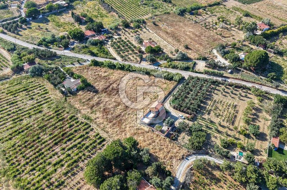 ÇANAKKALE BOZCAADA AMERİKAN ÇEŞME SATILIK ASFALT CEPHE BAĞ