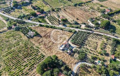ÇANAKKALE BOZCAADA AMERİKAN ÇEŞME SATILIK ASFALT CEPHE BAĞ