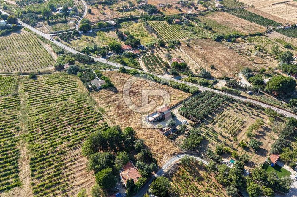 ÇANAKKALE BOZCAADA AMERİKAN ÇEŞME SATILIK ASFALT CEPHE BAĞ