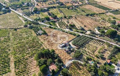 ÇANAKKALE BOZCAADA AMERİKAN ÇEŞME SATILIK ASFALT CEPHE BAĞ