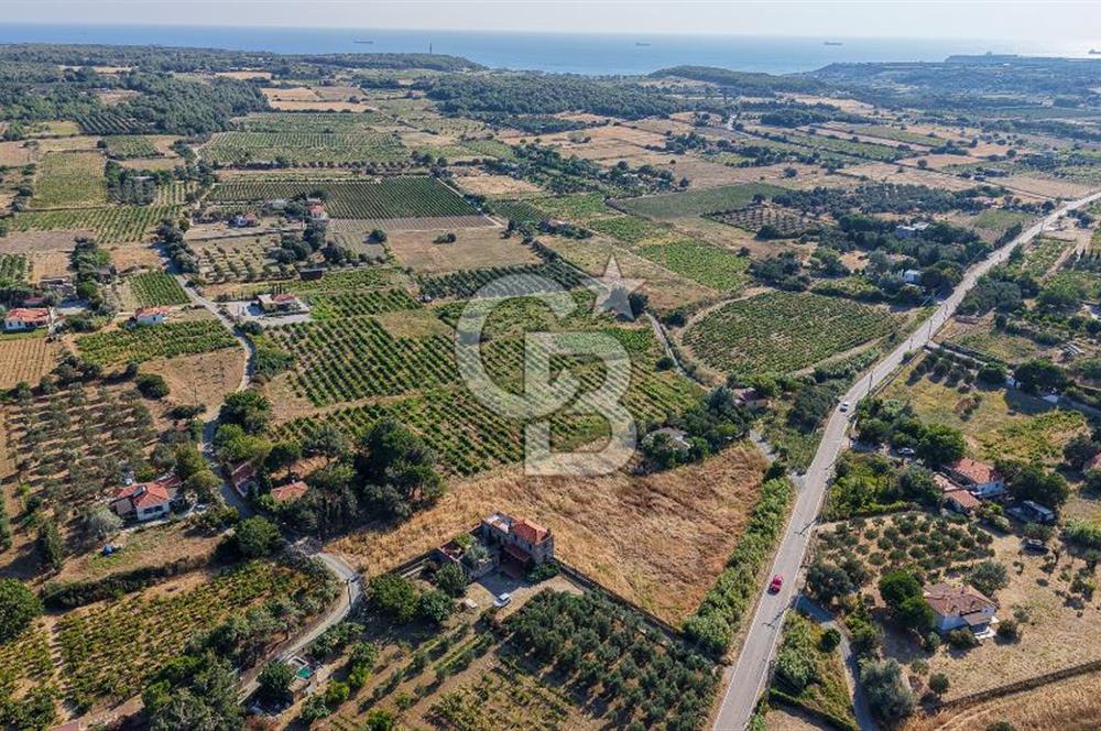 ÇANAKKALE BOZCAADA AMERİKAN ÇEŞME SATILIK ASFALT CEPHE BAĞ