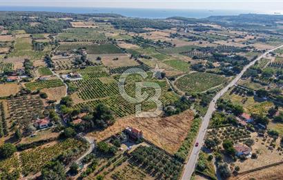 ÇANAKKALE BOZCAADA AMERİKAN ÇEŞME SATILIK ASFALT CEPHE BAĞ