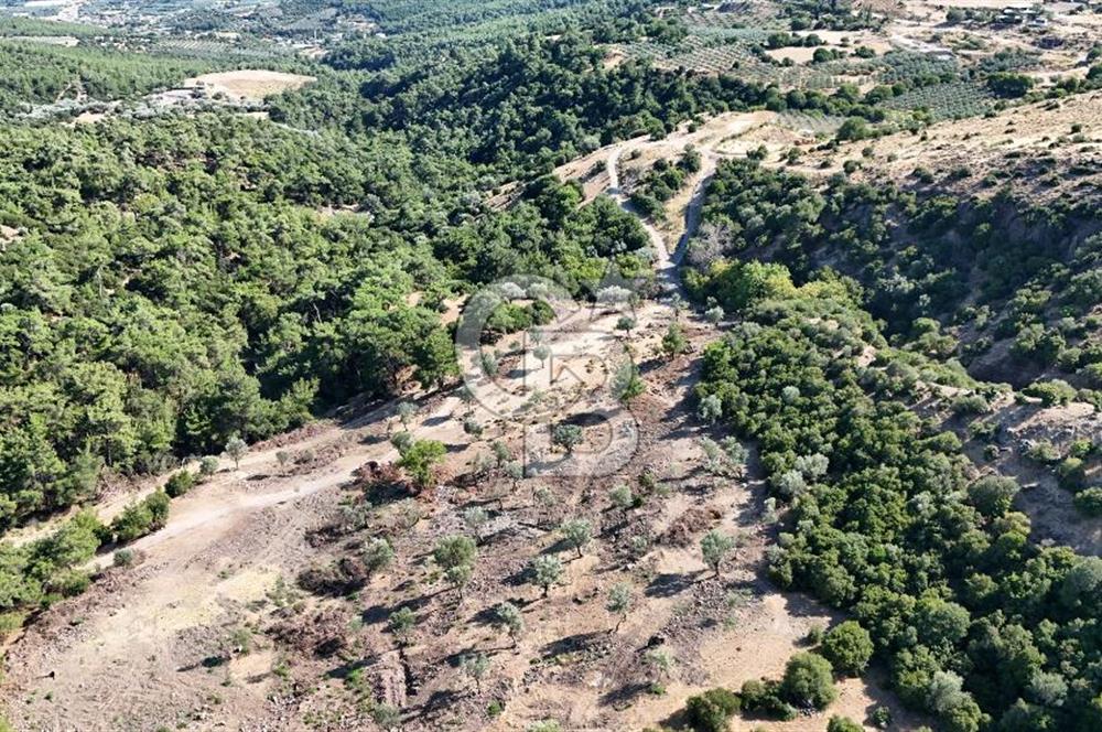 Menemen Hasanlar'da Satılık Müstakil Tapulu Tarla