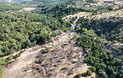 Menemen Hasanlar'da Satılık Müstakil Tapulu Tarla