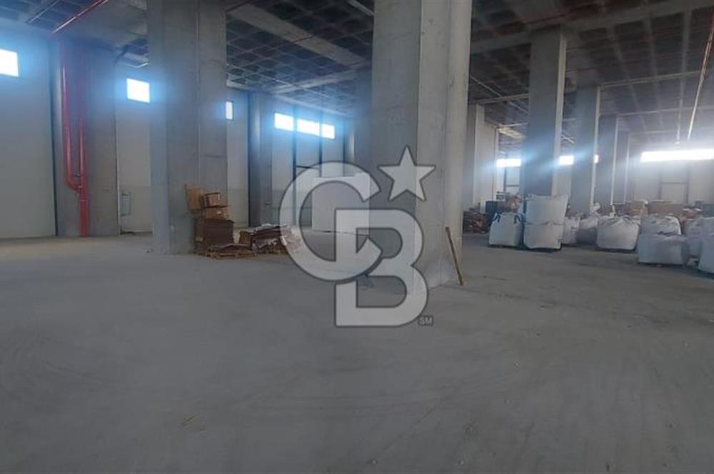 Hadımköy Ömerli Sanayi Satılık 4.300 M2 Depo 3 yükleme rampalı