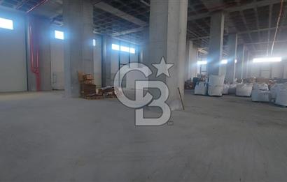 Hadımköy Ömerli Sanayi Satılık 4.300 M2 Depo 3 yükleme rampalı