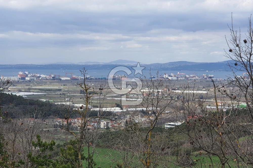 ALTINOVA KAYTAZDERE FULL DENİZ VE KÖPRÜ MANZARALI SATILIK ARAZİ!