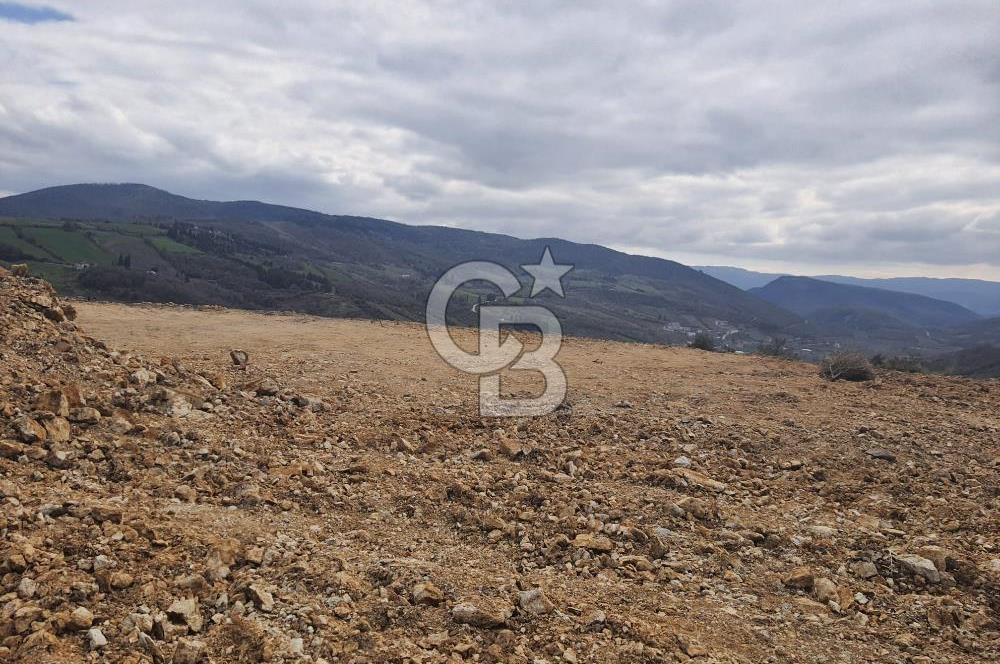 ALTINOVA KAYTAZDERE FULL DENİZ VE KÖPRÜ MANZARALI SATILIK ARAZİ!