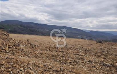 ALTINOVA KAYTAZDERE FULL DENİZ VE KÖPRÜ MANZARALI SATILIK ARAZİ!