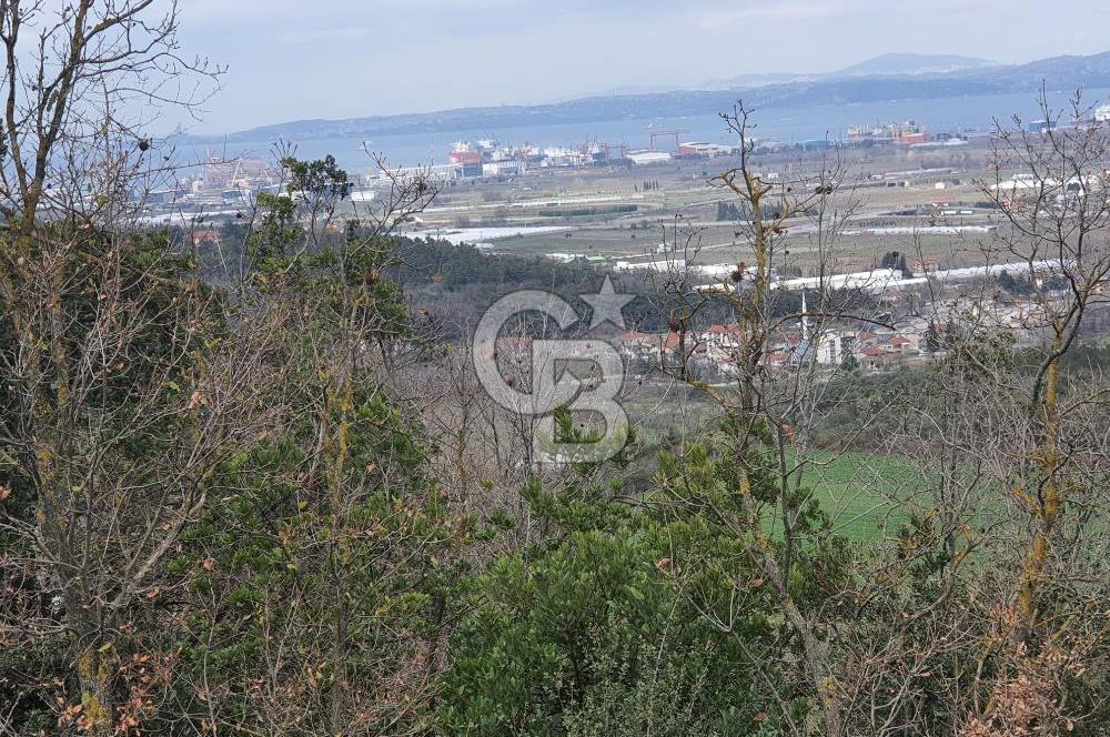 ALTINOVA KAYTAZDERE FULL DENİZ VE KÖPRÜ MANZARALI SATILIK ARAZİ!