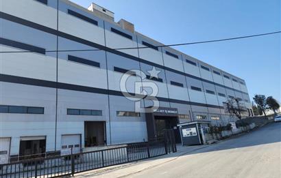 Hadımköy Ömerli Sanayi Satılık 4.300 M2 Depo 3 yükleme rampalı