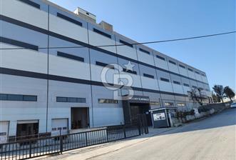 Hadımköy Ömerli Sanayi Satılık 4.300 M2 Depo 3 yükleme rampalı - 2 - 366271