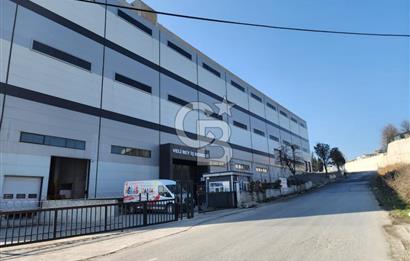 Hadımköy Ömerli Sanayi Satılık 4.300 M2 Depo 3 yükleme rampalı