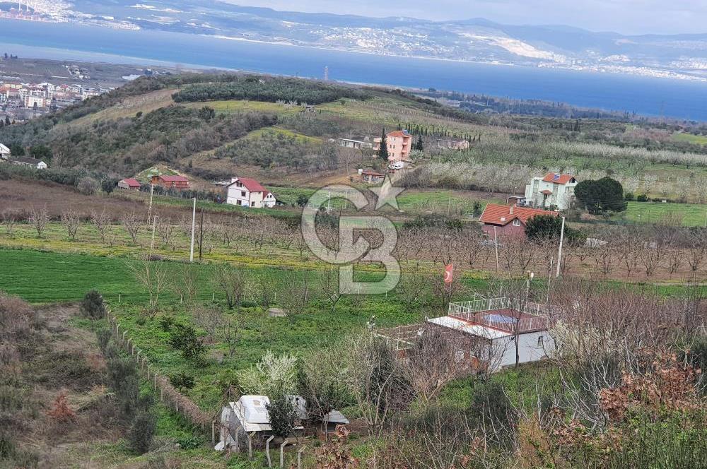 ALTINOVA KAYTAZDERE FULL DENİZ VE KÖPRÜ MANZARALI SATILIK ARAZİ!