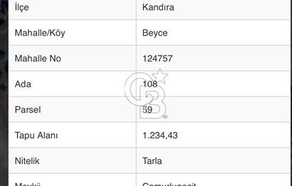 KANDIRA'DA BEYCE KÖYÜNDE TARLA