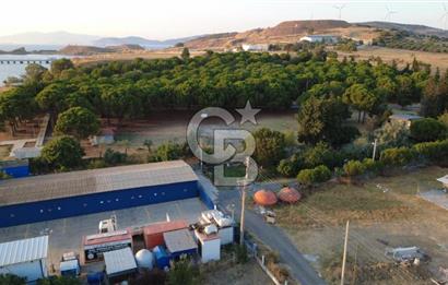 ÇAKMAKLIDA SATILIK TEK TAPU İMARLI ARSA 143m2