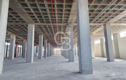 Hadımköy Ömerli Sanayi Satılık 4.300 M2 Depo 3 yükleme rampalı