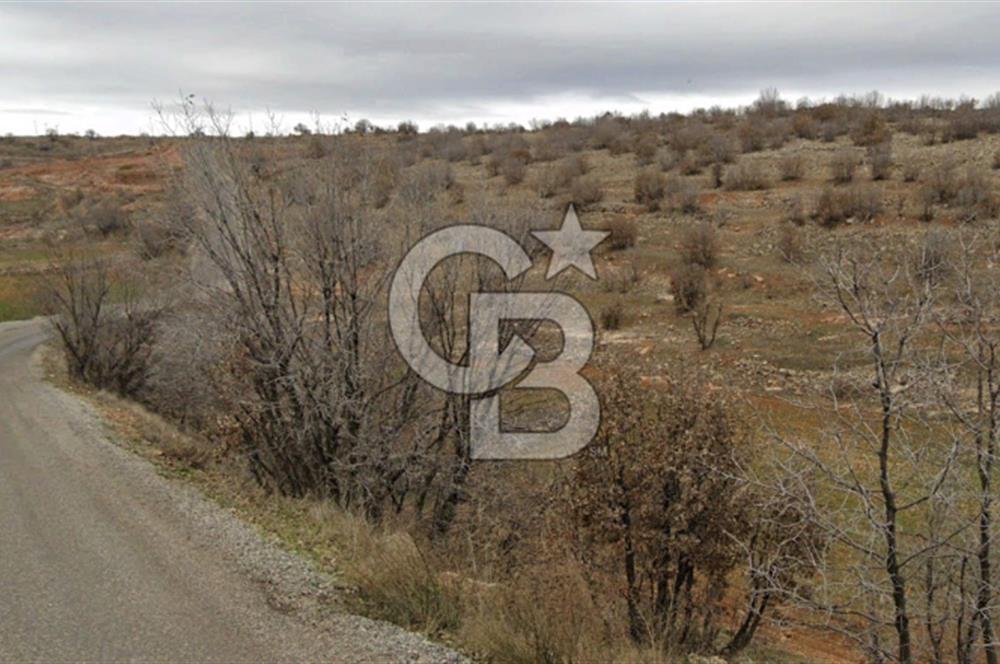 Mardin Ömerli Kocakuyuda 20.400 m² Müstakil Tarla / Yatırımlık