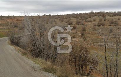 Mardin Ömerli Kocakuyuda 20.400 m² Müstakil Tarla / Yatırımlık