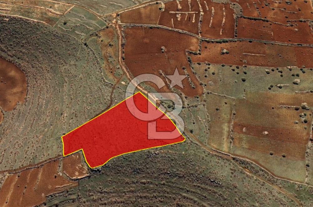 Mardin Ömerli Kocakuyuda 20.400 m² Müstakil Tarla / Yatırımlık