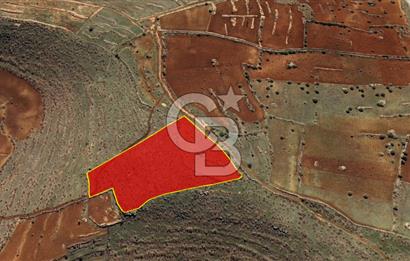 Mardin Ömerli Kocakuyuda 20.400 m² Müstakil Tarla / Yatırımlık