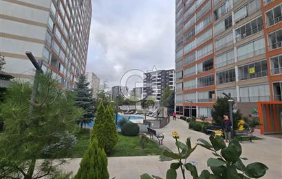 YENİ BATI MAH. GÖLDELÜKS 2 EŞYALI KAPALI MUTFAK KİRALIK 2,5+1
