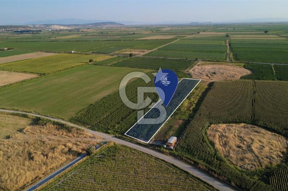 GERENKÖYDE SATILIK 2880m2 YOLA CEPHE TARLA