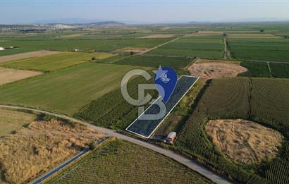 GERENKÖYDE SATILIK 2880m2 YOLA CEPHE TARLA
