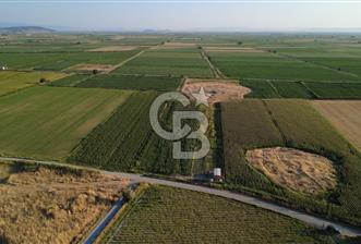GERENKÖYDE SATILIK 2880m2 YOLA CEPHE TARLA - 10 - 366272