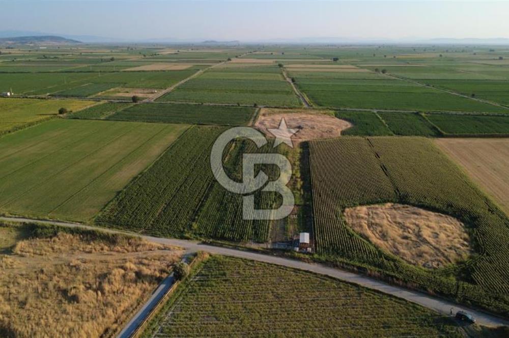 GERENKÖYDE SATILIK 2880m2 YOLA CEPHE TARLA