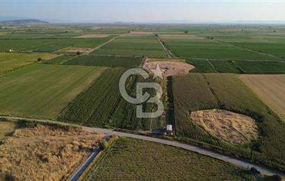 GERENKÖYDE SATILIK 2880m2 YOLA CEPHE TARLA