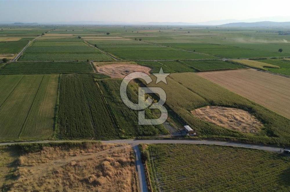 GERENKÖYDE SATILIK 2880m2 YOLA CEPHE TARLA