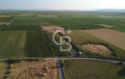 GERENKÖYDE SATILIK 2880m2 YOLA CEPHE TARLA