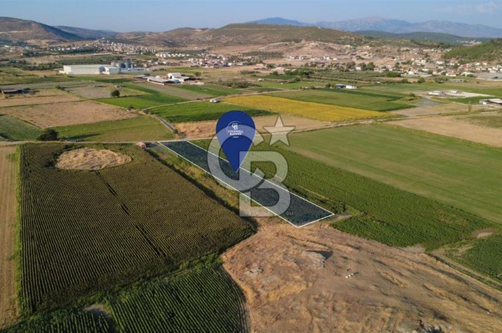 GERENKÖYDE SATILIK 2880m2 YOLA CEPHE TARLA