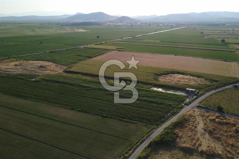 GERENKÖYDE SATILIK 2880m2 YOLA CEPHE TARLA