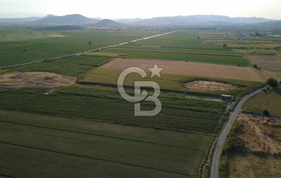 GERENKÖYDE SATILIK 2880m2 YOLA CEPHE TARLA