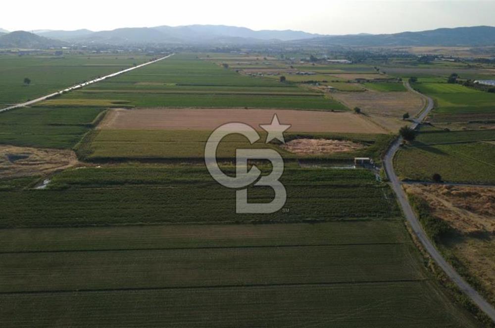 GERENKÖYDE SATILIK 2880m2 YOLA CEPHE TARLA