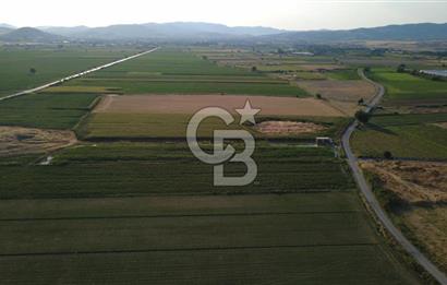 GERENKÖYDE SATILIK 2880m2 YOLA CEPHE TARLA